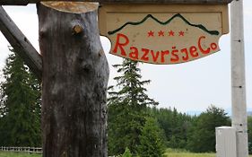 Razvrsje Co